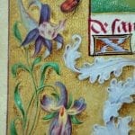 Unknown,  Donne Hours: detail of the border decoration,  ca. 1480,  Louvain-la-Neuve, Archives de l'Université
