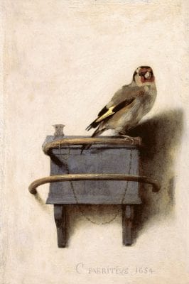  The Goldfinch,  Carel Fabritius, 1654, Mauritshuis, The Hague