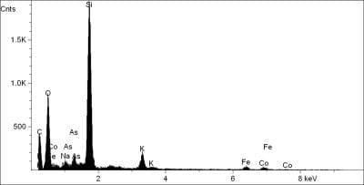 Elemental composition obtained by X-ray spectrome,