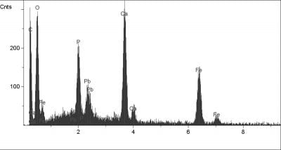 X-ray spectra from the upper most yellow layer of the scarf in Scholar Interrupted at His Writing (cross hair in Fig. 37) showing a layer composition as a whole, with pigmentation by vivianite and calcite with an ear absence of lead white