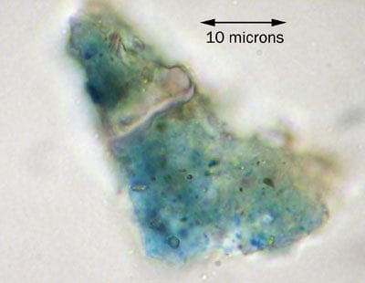 Partially dispersed pigments from the intermediat,