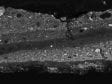 Cross section of a sample from the foreground lea,