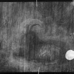 X-radiograph of Goat in a Landscape showing a change from a profile to frontal view of the goat’s head