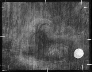 X-radiograph of Goat in a Landscape showing a change from a profile to frontal view of the goat’s head