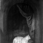 Infrared image of Cat Crouching on the Ledge of ,