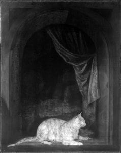 Infrared image of Cat Crouching on the Ledge of ,
