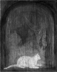 Infrared image superimposed on X-radiograph with ,