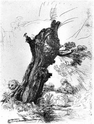 Rembrandt van Rijn,  Saint Jerome Beside a Pollard Willow, 1648, Metropolitan Museum of Art, New York