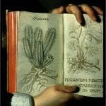 Fig. 21 Detail, Moreelse, Portrait of a Scholar.