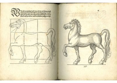 Sebald Beham,  Horse Walking to the Left, ca. 1528, from Treati, 1528,  The British Museum, London