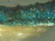 Fig. 30 Cross-section of sample RMA-AW-162/1 (marked with an arrow in fig. 1) taken from a dark fold in the Virgin Mary’s cloak showing: i) the chalk/glue ground, ii) a locally-applied lead white underlayer containing some black particles (up to 10 µ), iii) one or two layers of azurite containing some particles of red lake (10–20 µ), iv) a coarser layer of azurite (100–120 µ). Sample taken and photographed at a magnification of 200x by Arie Wallert.