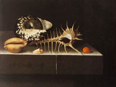   Adriaen Coorte,  Still Life with Shells, 1698, United States, Private Collection